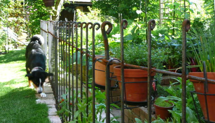 Garten-Zaun-Hund-einstecken